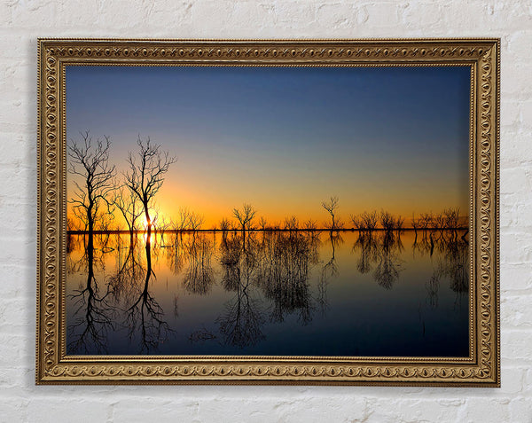Beautiful Reflections Of The Winter Trees Framed Print