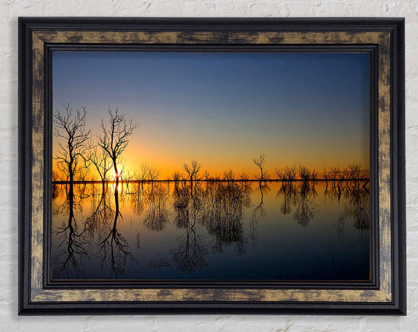 Beautiful Reflections Of The Winter Trees Framed Print