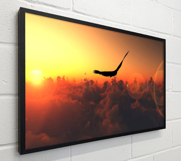Eagle Flying In The Burnt Orange Sky
