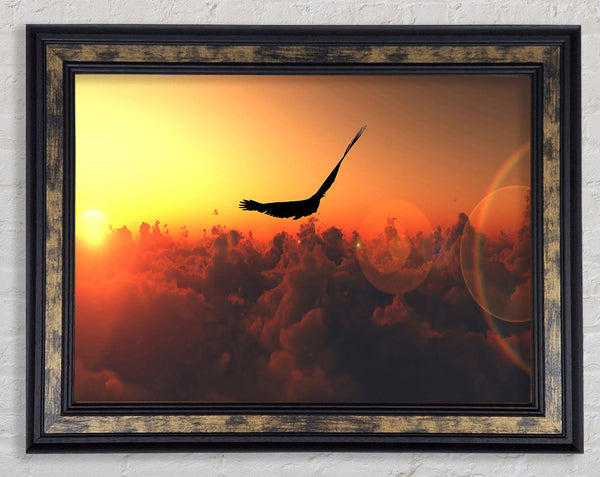 Eagle Flying In The Burnt Orange Sky Framed Print