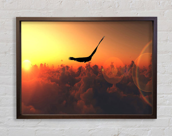 Adler fliegt in den orangefarbenen Himmel