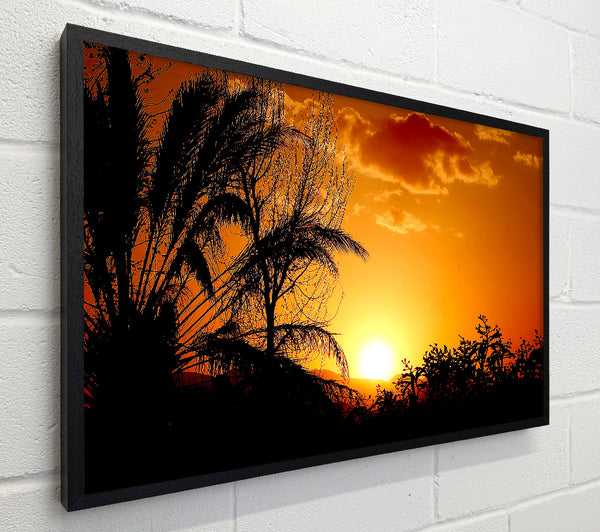 Beautiful Sunset Trees