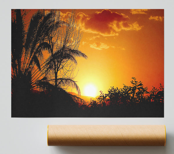 Beautiful Sunset Trees Poster