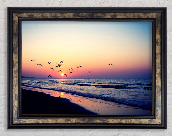Birds In Paradise Framed Print