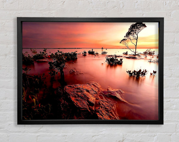 Tranquil Pink Ocean Trees Framed Print