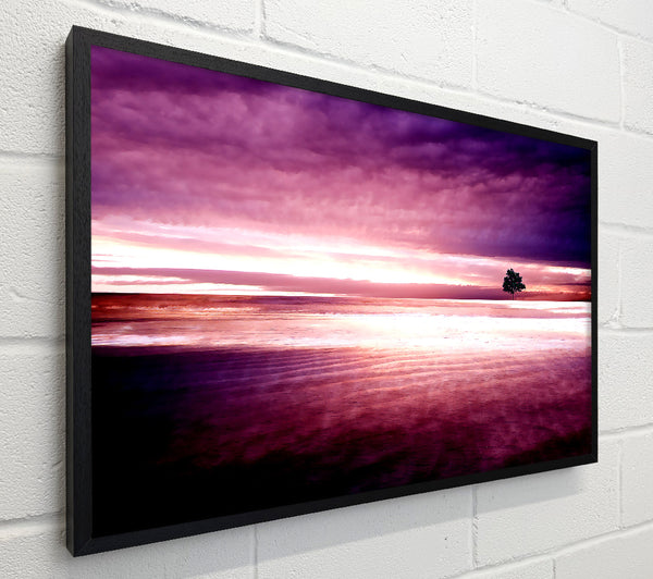 Purple Nature