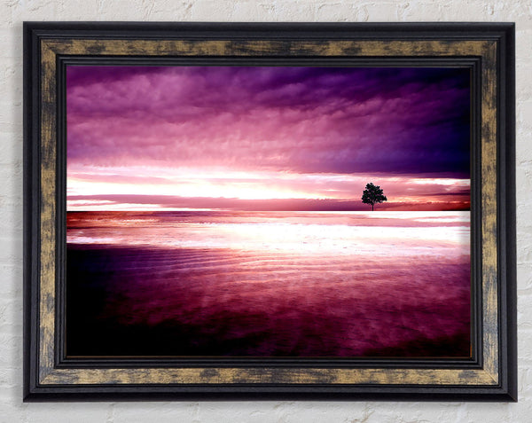 Purple Nature Framed Print