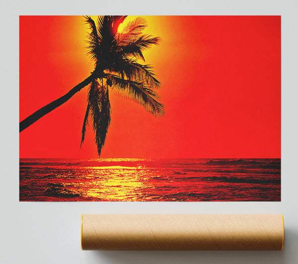 Palmtree Sunblaze Print