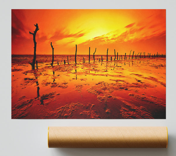The Oceans Gateway Orange Print