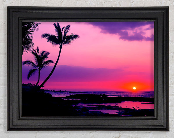 Flamme der Palmensonne