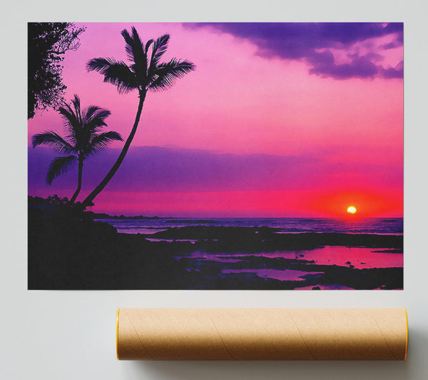 Blaze Of The Palmtree Sun Giclee Print