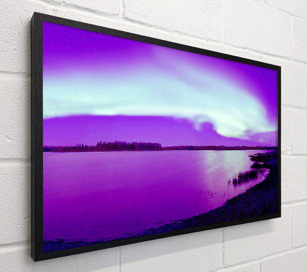 Purple Northern Lights