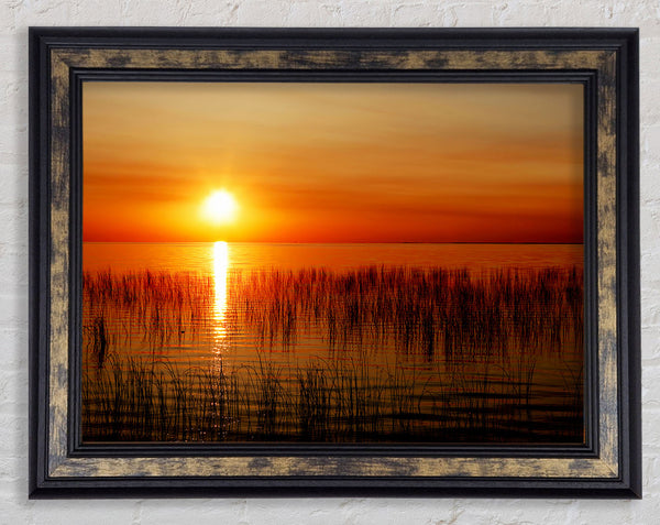 Sunset Over The Oceans Reeds Framed Print