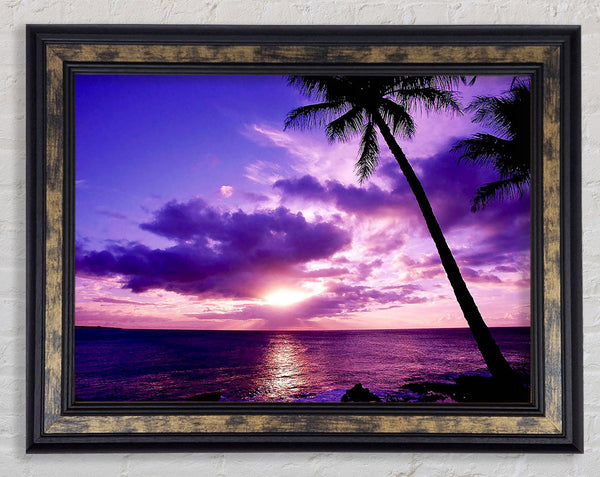 Lilac Pink Ocean Paradise Framed Print