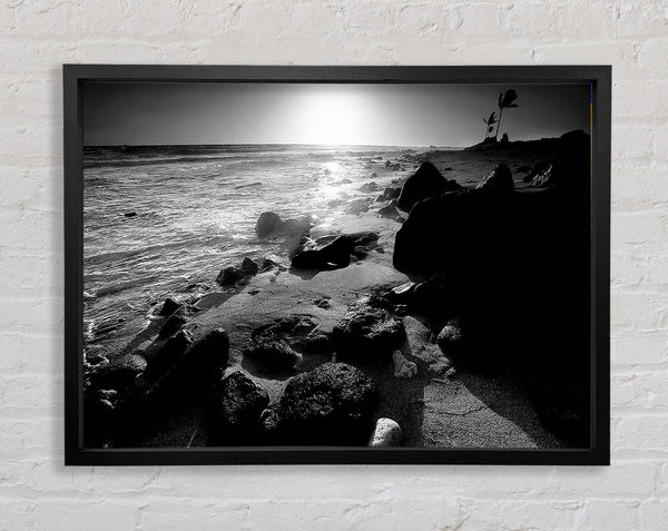 Sun Blaze Ocean B und W