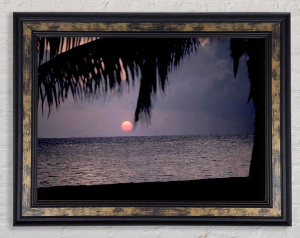 Pink Sun Sunset Framed Print