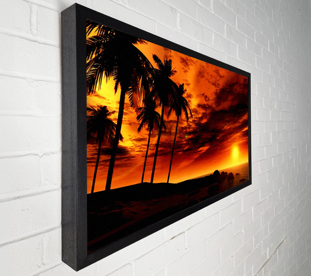  A Canvas Print of Golden Palm Tree Skies Canvas Art