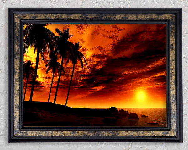 Golden Palm Tree Skies Framed Print