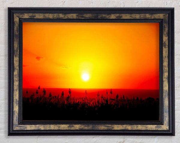 Red Ocean Flowers Framed Print