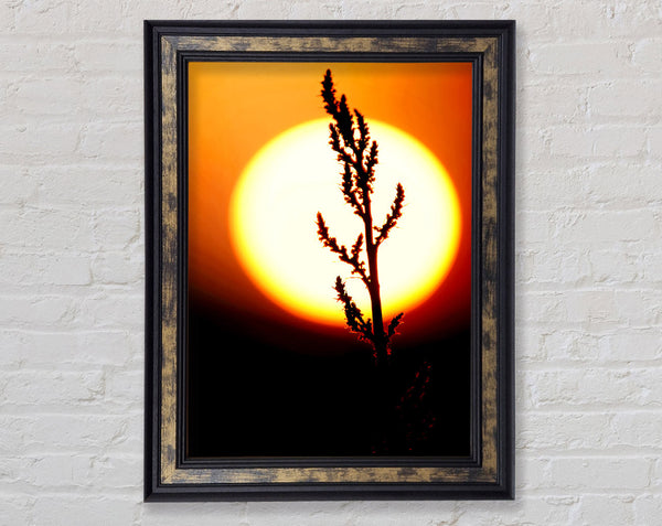 Stunning Sun Glow Orange Framed Print