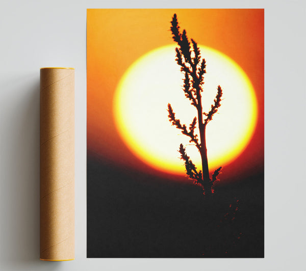 Stunning Sun Glow Orange Print