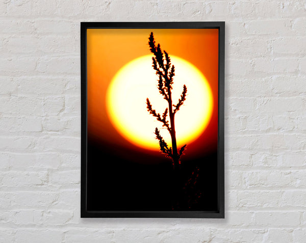 Atemberaubendes Sun Glow Orange