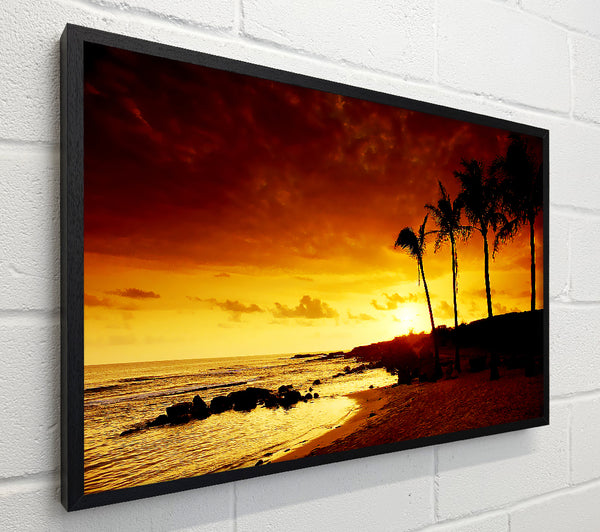 Ochre Palmtree Ocean