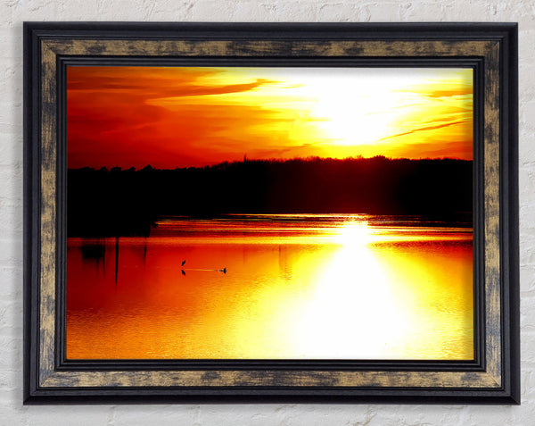 Sunlight Reflections Framed Print