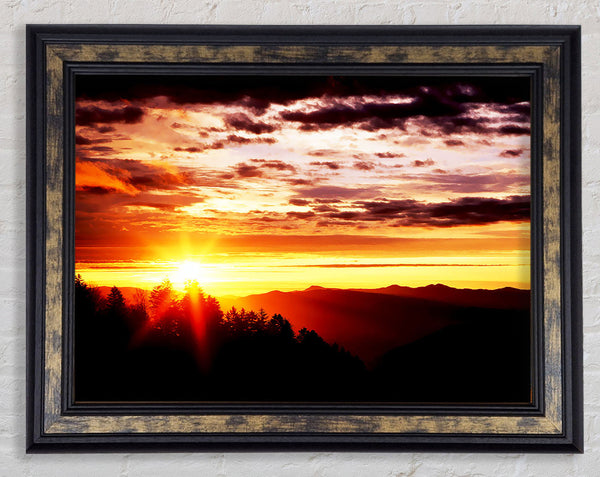 Sunrise Over Treeline Framed Print