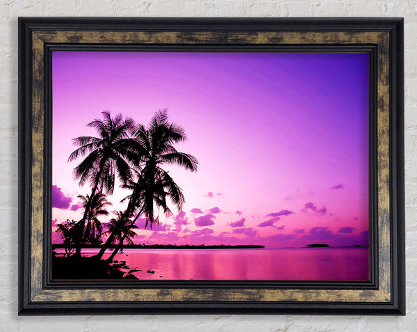 Pink Palm Tree Ocean Framed Print