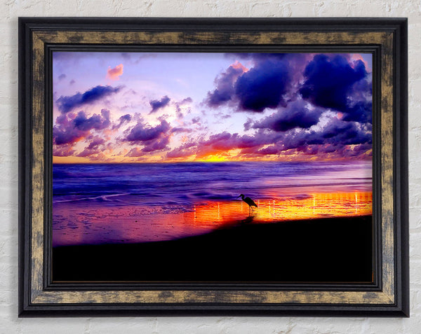 Blazing Ocean Sunset Framed Print