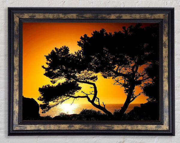 Fallen Ocean Sun Framed Print