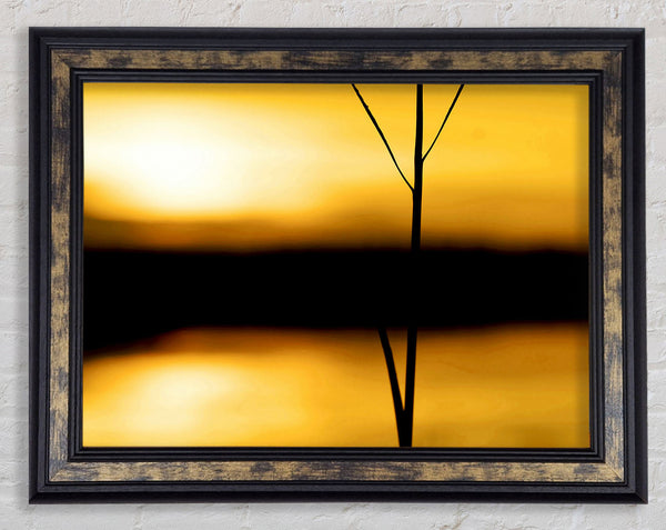 Golden Lake Reflections Framed Print