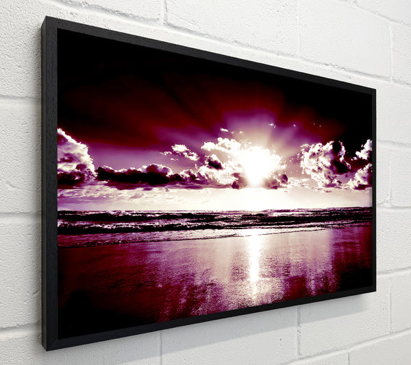 Purple Sunburst