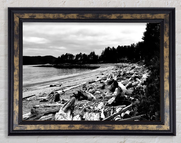 Black And White Driftwood Ocean Framed Print