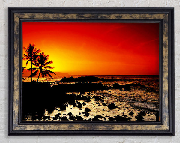 Stunning Palm Tree Ocean Rocks Framed Print