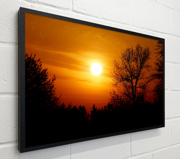 Orange Sunset Over Trees