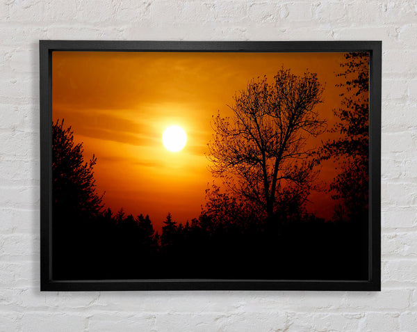 Orangefarbener Sonnenuntergang über Bäumen