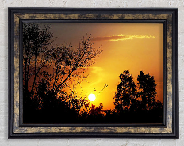 Sunset Skies Framed Print