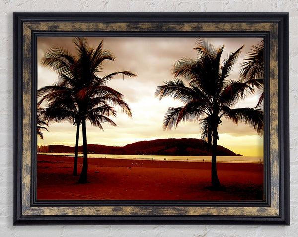 Beach Palmtree Mountain View Framed Print