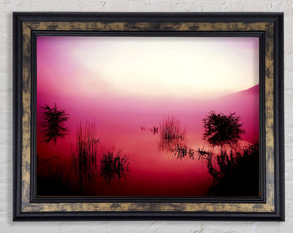 Pink Misty Lake Framed Print