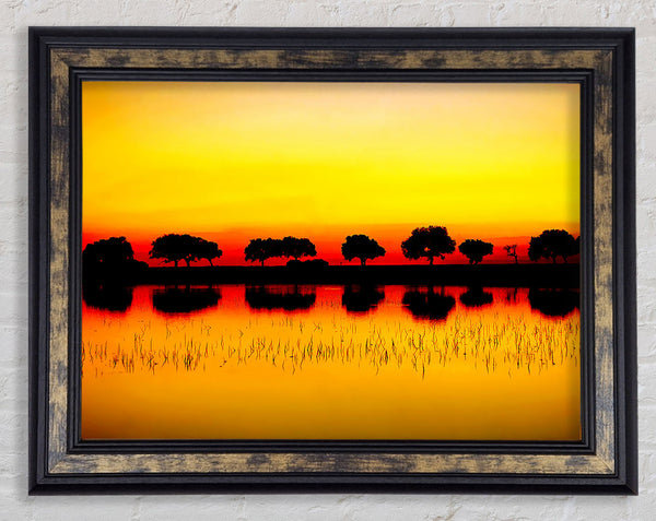 Reflections Of The Sunset Trees Golden Framed Print
