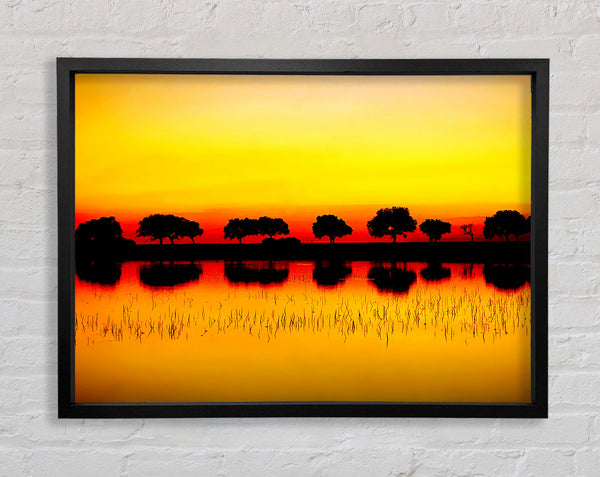 Reflexionen der Sonnenuntergang Bäume Golden