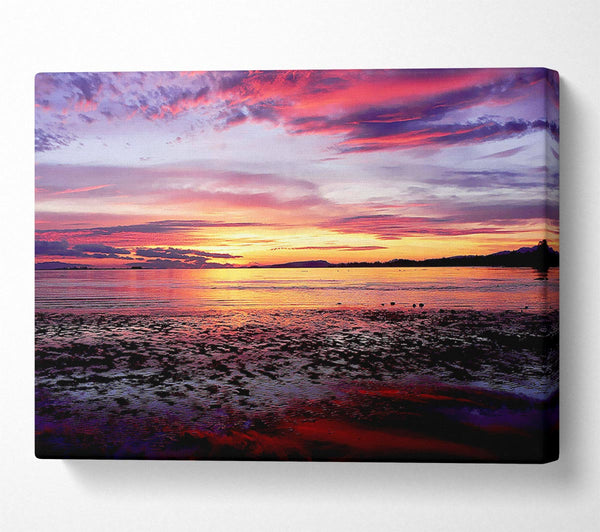 Sunrise Ocean Skies