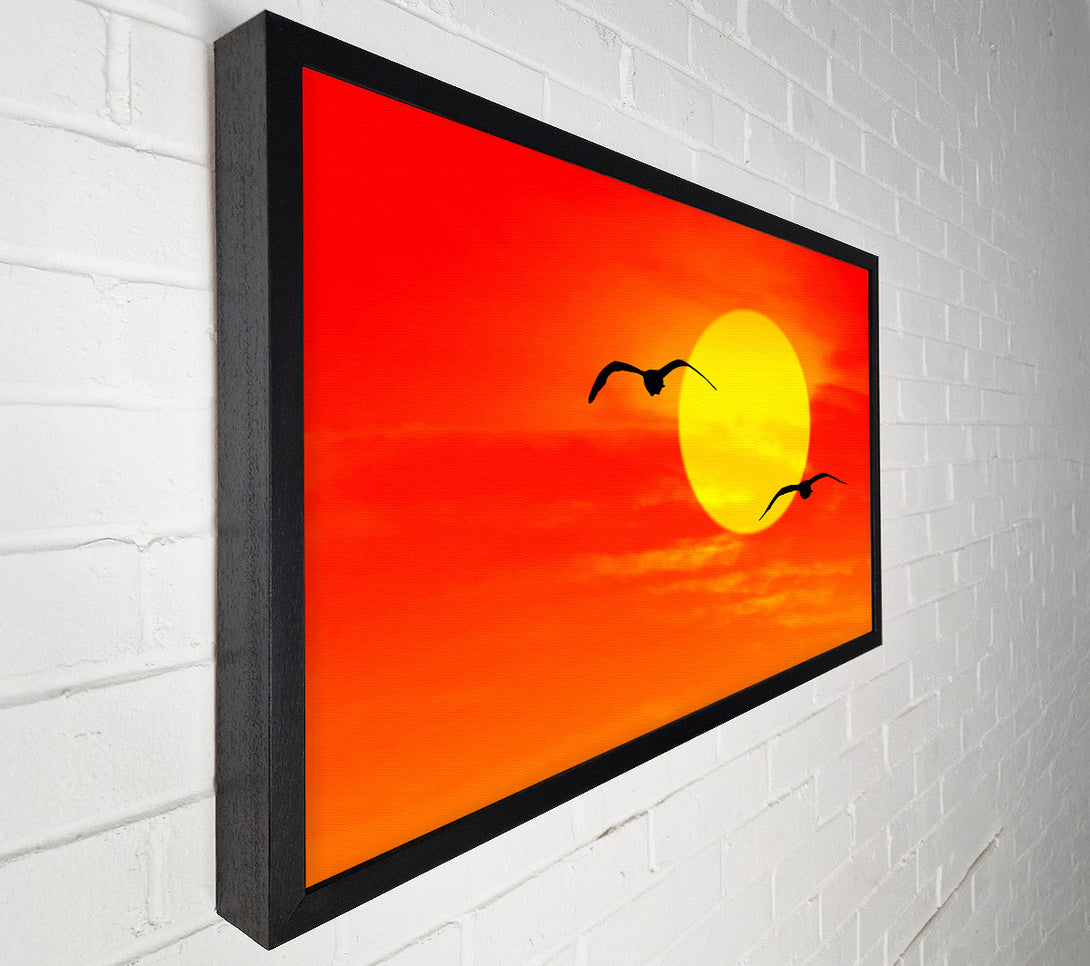  A Canvas Print of Seagulls At Sunrise Florida Canvas Art