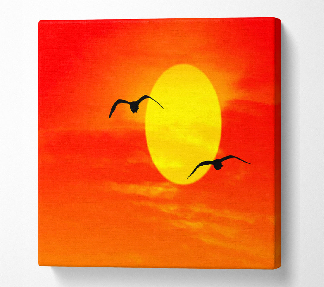  A Canvas Print of Seagulls At Sunrise Florida Canvas Art