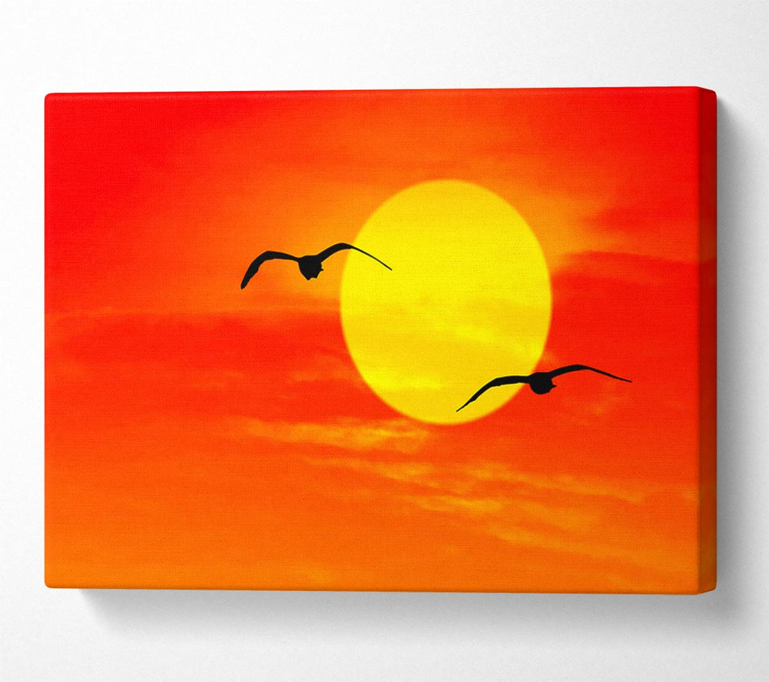  A Canvas Print of Seagulls At Sunrise Florida Canvas Art