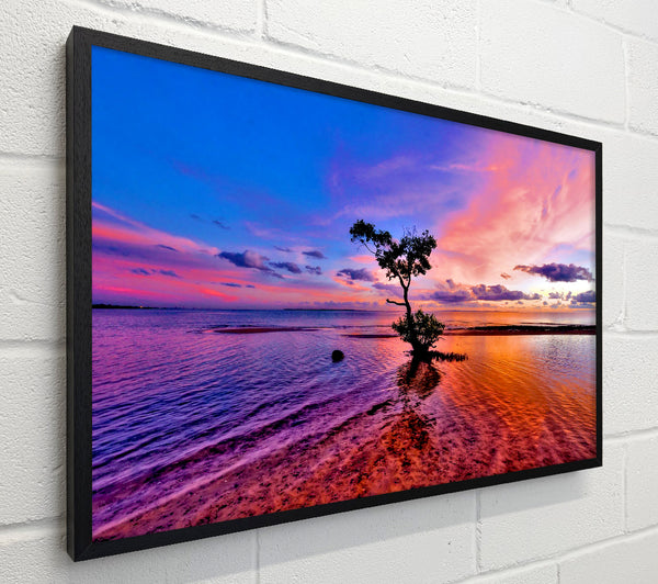 Ocean Tree Dusk