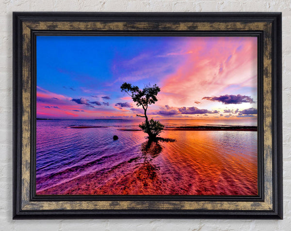 Ocean Tree Dusk Framed Print