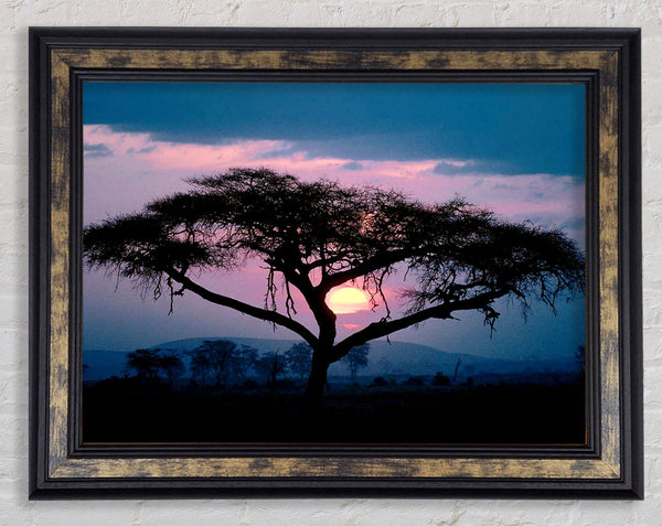 East African Sunset Framed Print